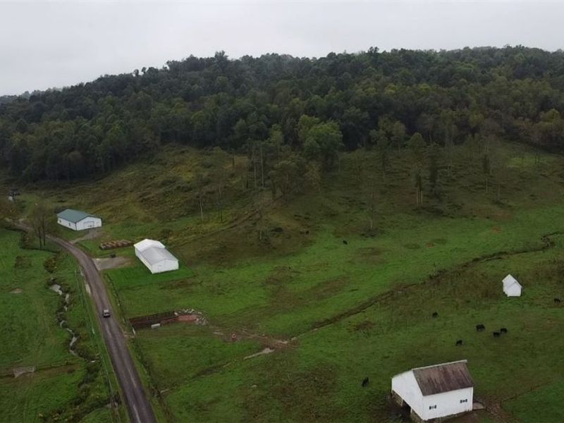 52047 Carpenter Road, Summerfield, OH 43788 Photo 9