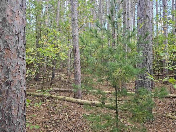 LAKE DRIVE, Wautoma, WI 54982