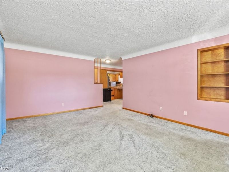 217 Clinton Avenue, Akron, OH 44301 Photo 11
