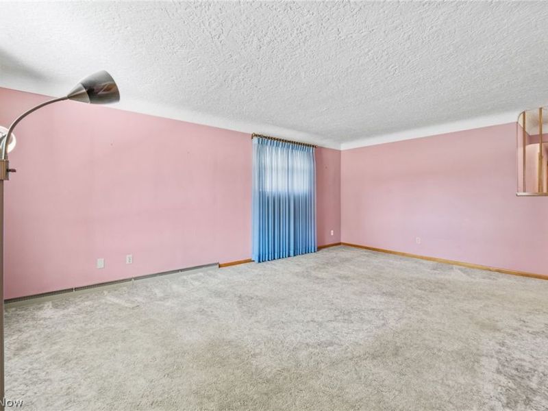 217 Clinton Avenue, Akron, OH 44301 Photo 8