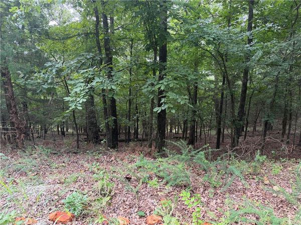 Bowen , Goshen, AR 72703