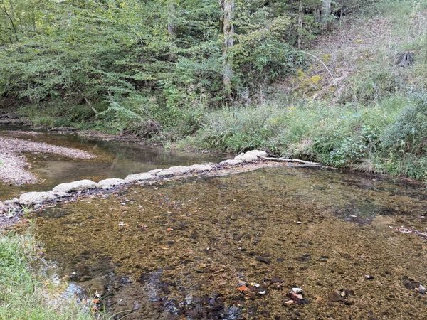 8755 Barren Fork Bridge Rd , Bon Aqua, TN 37025