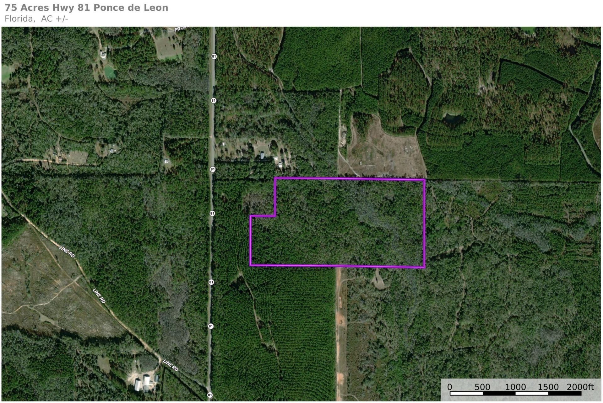 75 Acres N Florida 81, Ponce de Leon, FL 32455 Main Photo