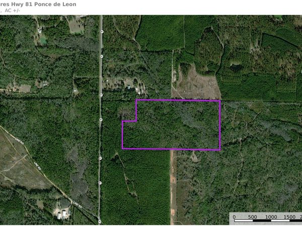 75 Acres N Florida 81, Ponce De Leon, FL 32455