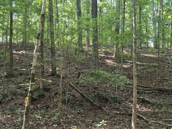 1318 Turkey Creek Rd , Dickson, TN 37055