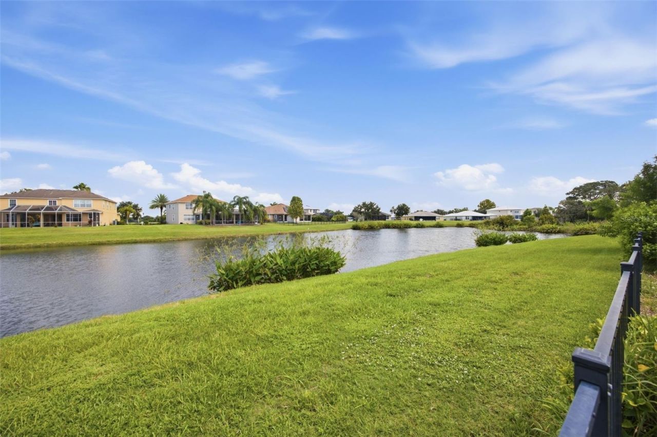 5249 Moon Shell Drive, Apollo Beach, FL 33572 Photo