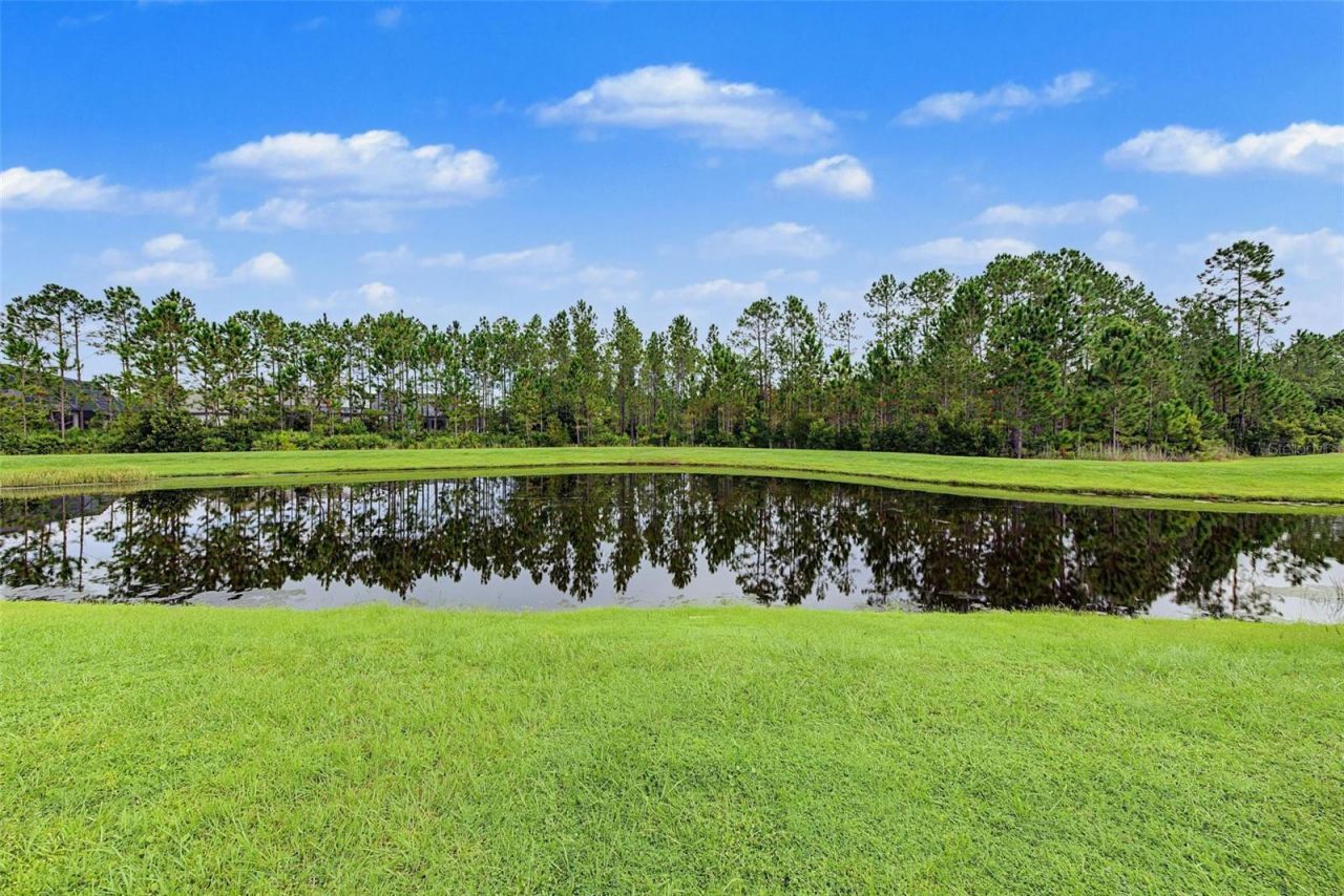 3404 Tour Trace, Land O Lakes, FL 34638 Photo