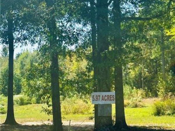 0 Newnan Road, Brooks, GA 30205