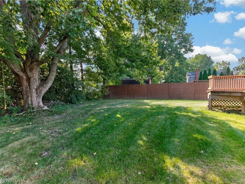 6005 Opal Street, North Ridgeville, OH 44039 Photo 41