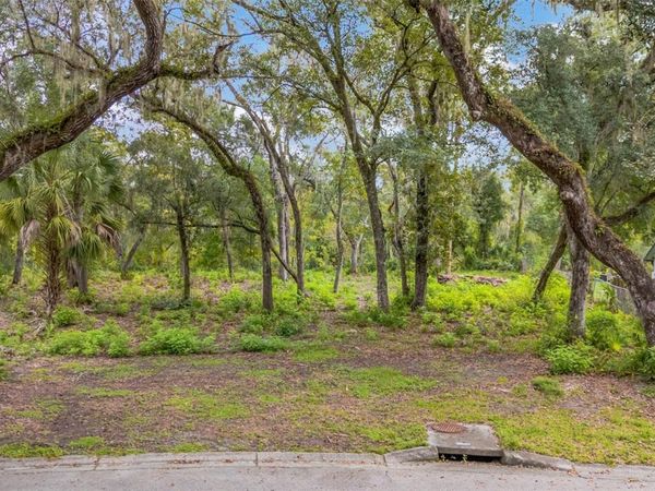 11731 GAIL DRIVE , TEMPLE TERRACE, FL 33617