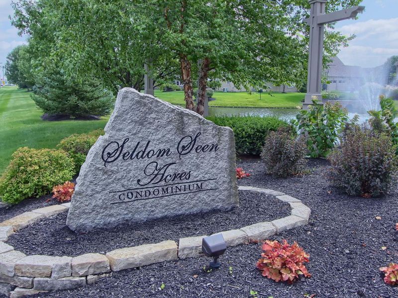 3755 Foresta Grand Drive, Powell, OH 43065 Photo 52