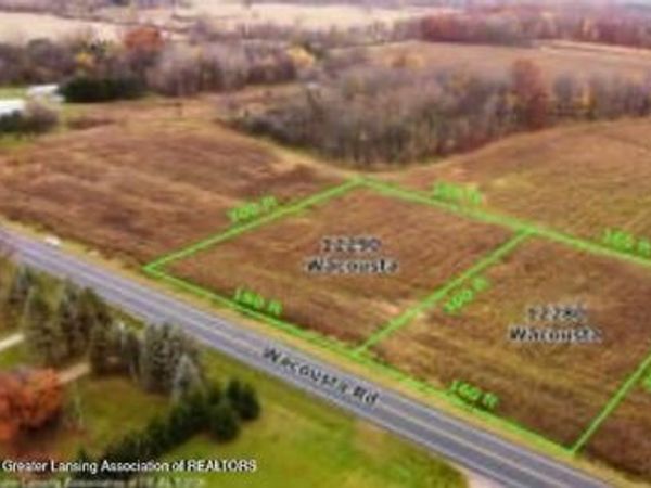 12290 S Wacousta Road, Eagle, MI 48822
