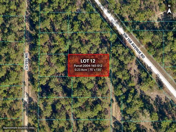 TBD SW 155TH AVE , OCALA, FL 34482