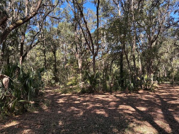11660 NE 225TH STREET , FORT MC COY, FL 32134
