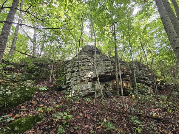 9 Myers Town Road, Beersheba Springs, TN 37305