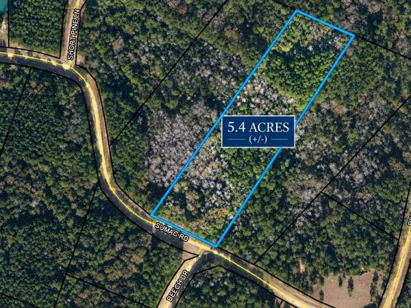 5.4 Acres Sumac Road, Westville, FL 32464