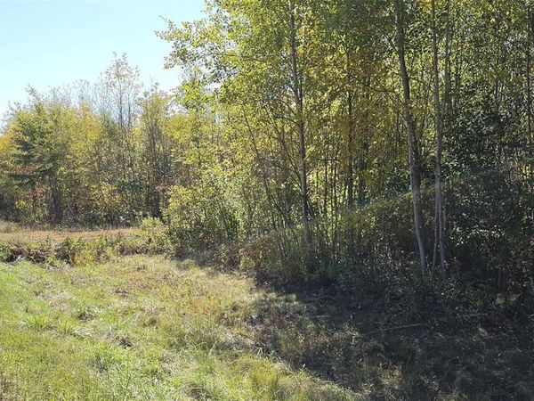 On County HWY W, Winter, WI 54896