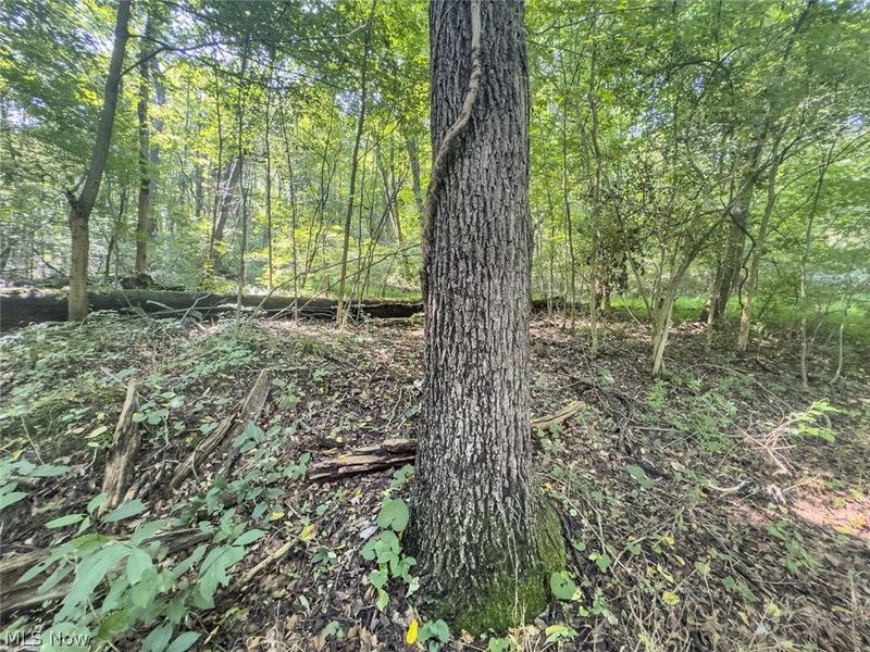 14050 Wolford Road, Newark, OH 43055 Photo 10