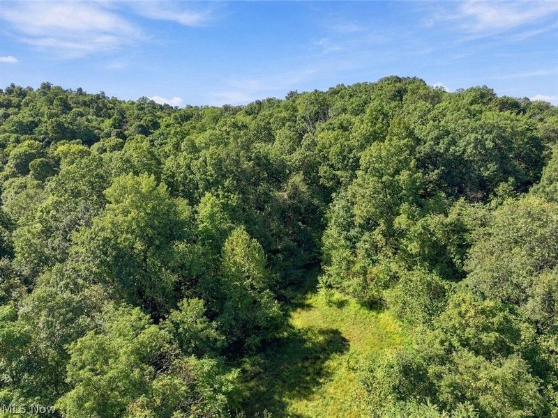 14050 Wolford Road, Newark, OH 43055 Photo 13
