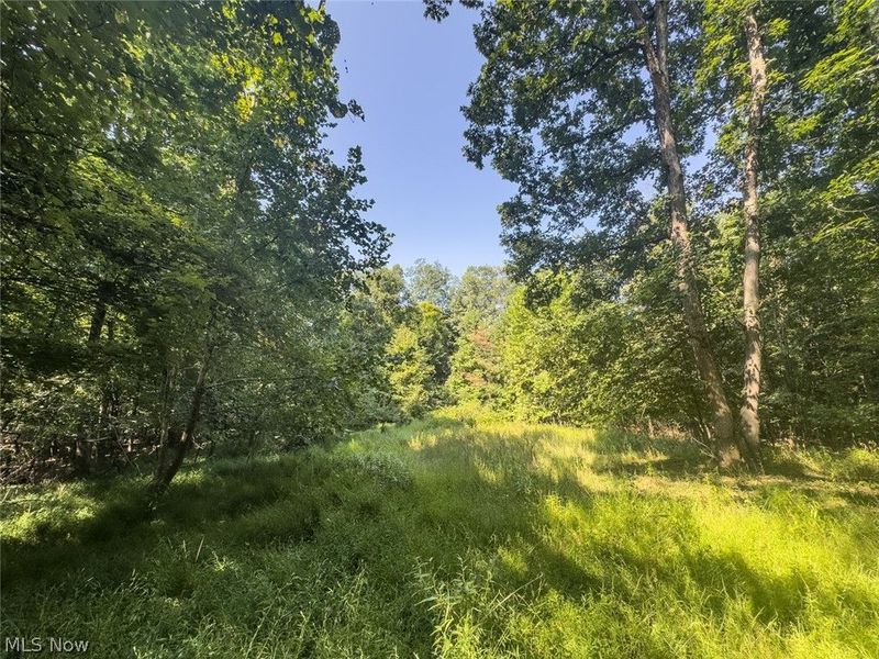 14050 Wolford Road, Newark, OH 43055 Photo 17