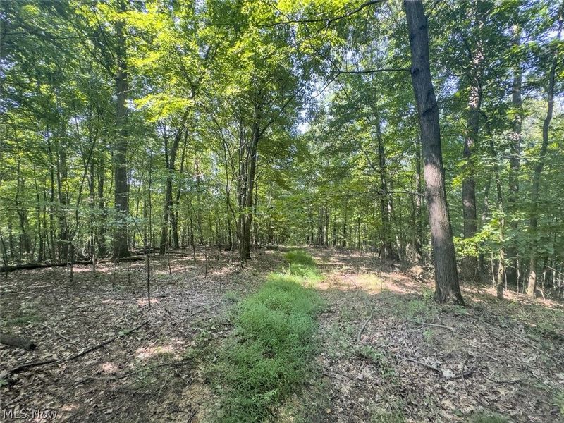 14050 Wolford Road, Newark, OH 43055 Photo 18