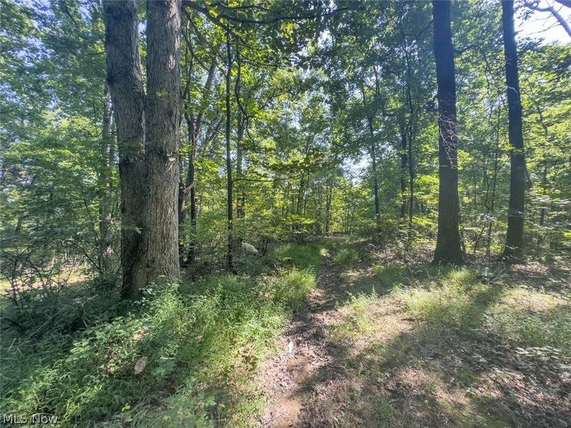 14050 Wolford Road, Newark, OH 43055 Photo 20