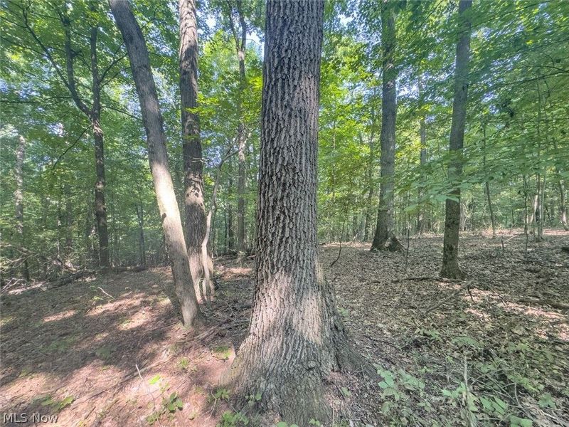 14050 Wolford Road, Newark, OH 43055 Photo 23