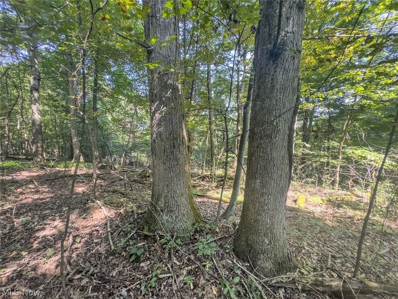 14050 Wolford Road, Newark, OH 43055 Photo 28