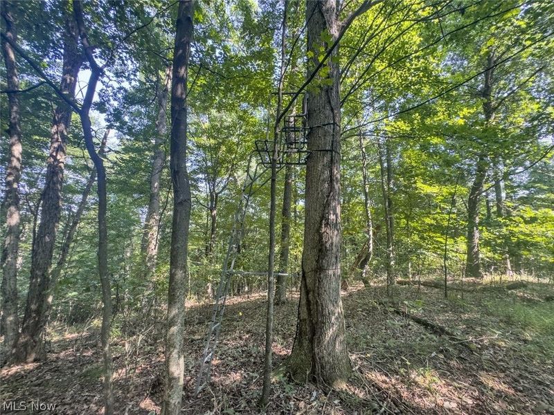 14050 Wolford Road, Newark, OH 43055 Photo 30