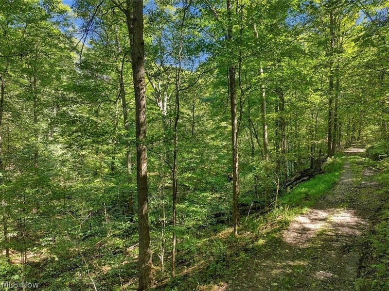14050 Wolford Road, Newark, OH 43055 Photo 39