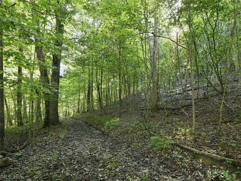 14050 Wolford Road, Newark, OH 43055 Photo 40