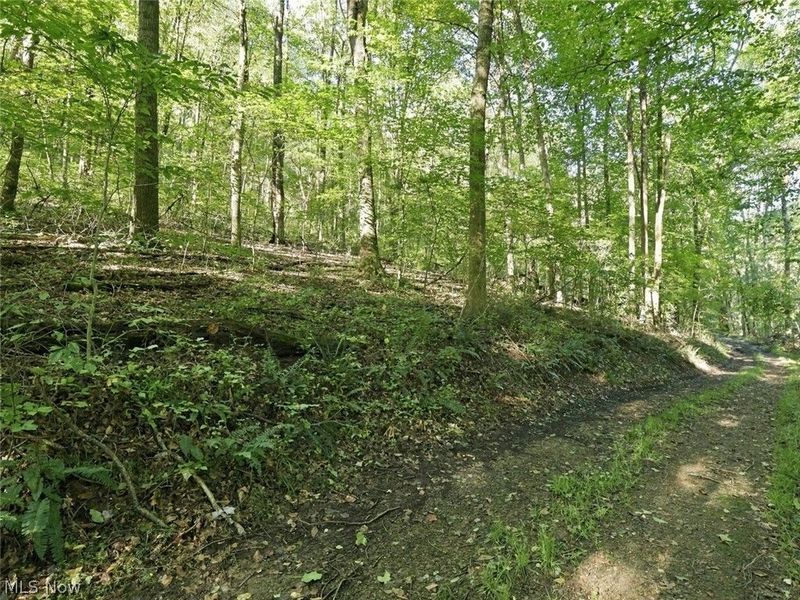 14050 Wolford Road, Newark, OH 43055 Photo 6