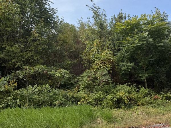 140 Woodridge Rd, Holden, MA 01520