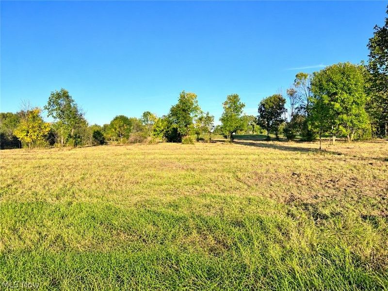 Lot #1 W Smith Road, Medina, OH 44256 Photo 2