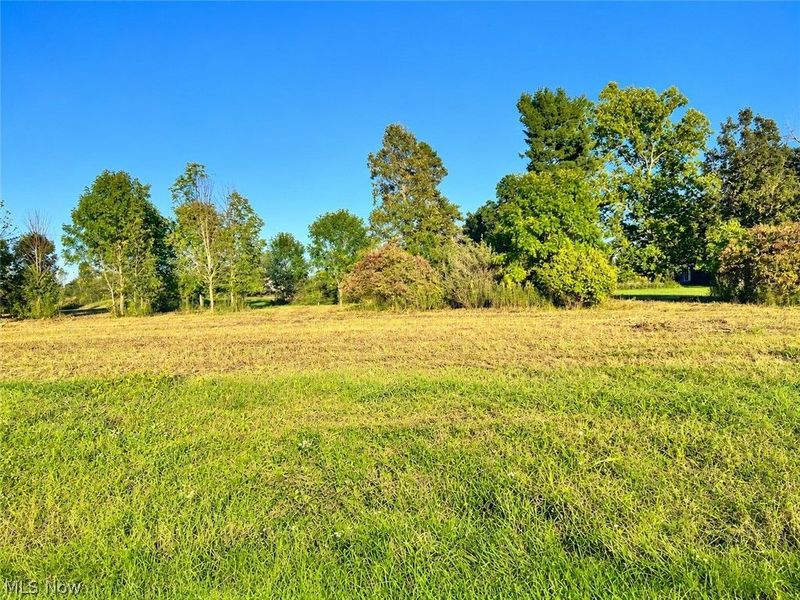 Lot #1 W Smith Road, Medina, OH 44256 Photo 3