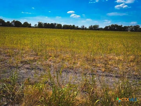 TBD CR 3061 , Thorndale, TX 76577