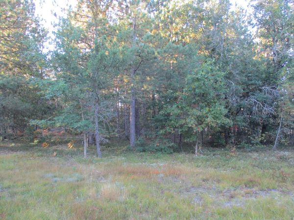 1540 S Stephan Bridge Road, Grayling, MI 49738