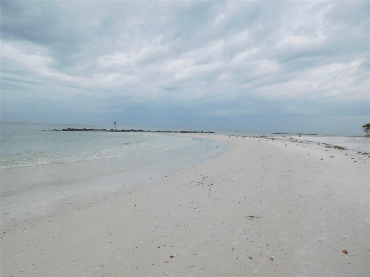 7 Dunoon Place , Unit 104, Dunedin, FL 34698 Photo