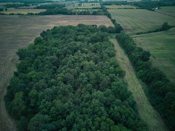 Herl Road, Bronson, MI 49028