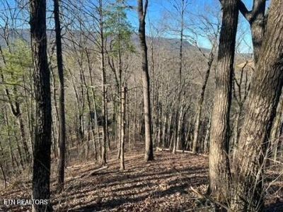 2353 Headrick Lead, Sevierville, TN 37862 Main Photo