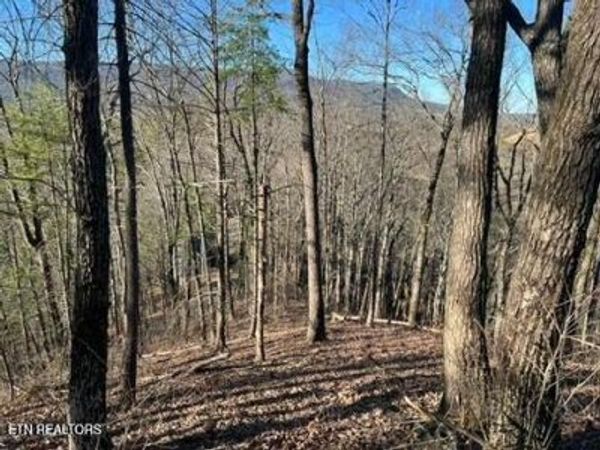 2353 Headrick Lead , Sevierville, TN 37862