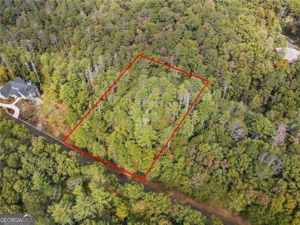 0 Trout Line Court, Talking Rock, GA 30175