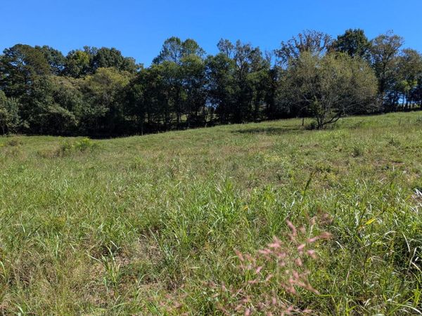 10816 Richland Rd, Mascot, TN 37806