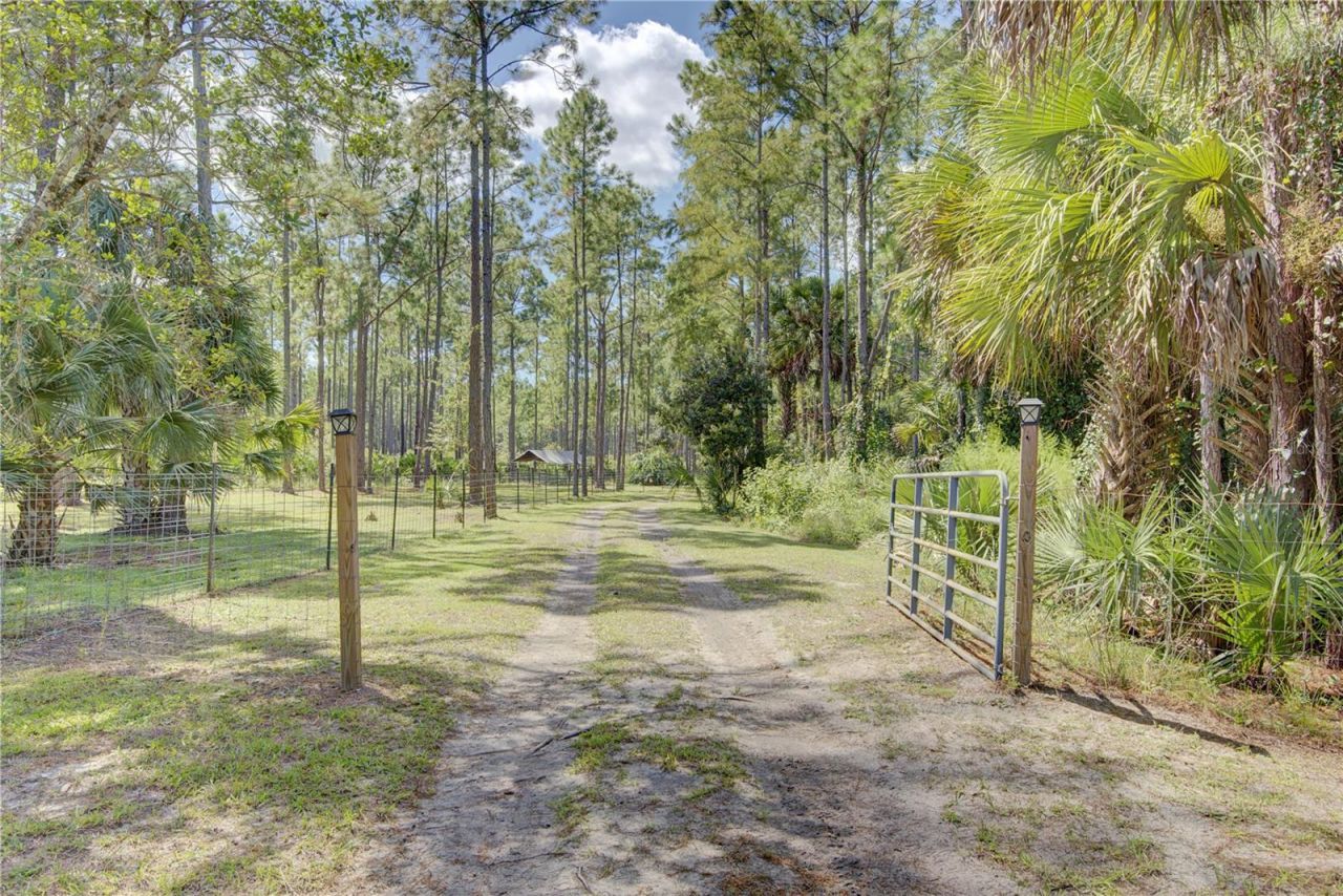 420 Smith Road , Osteen, FL 32764 Photo