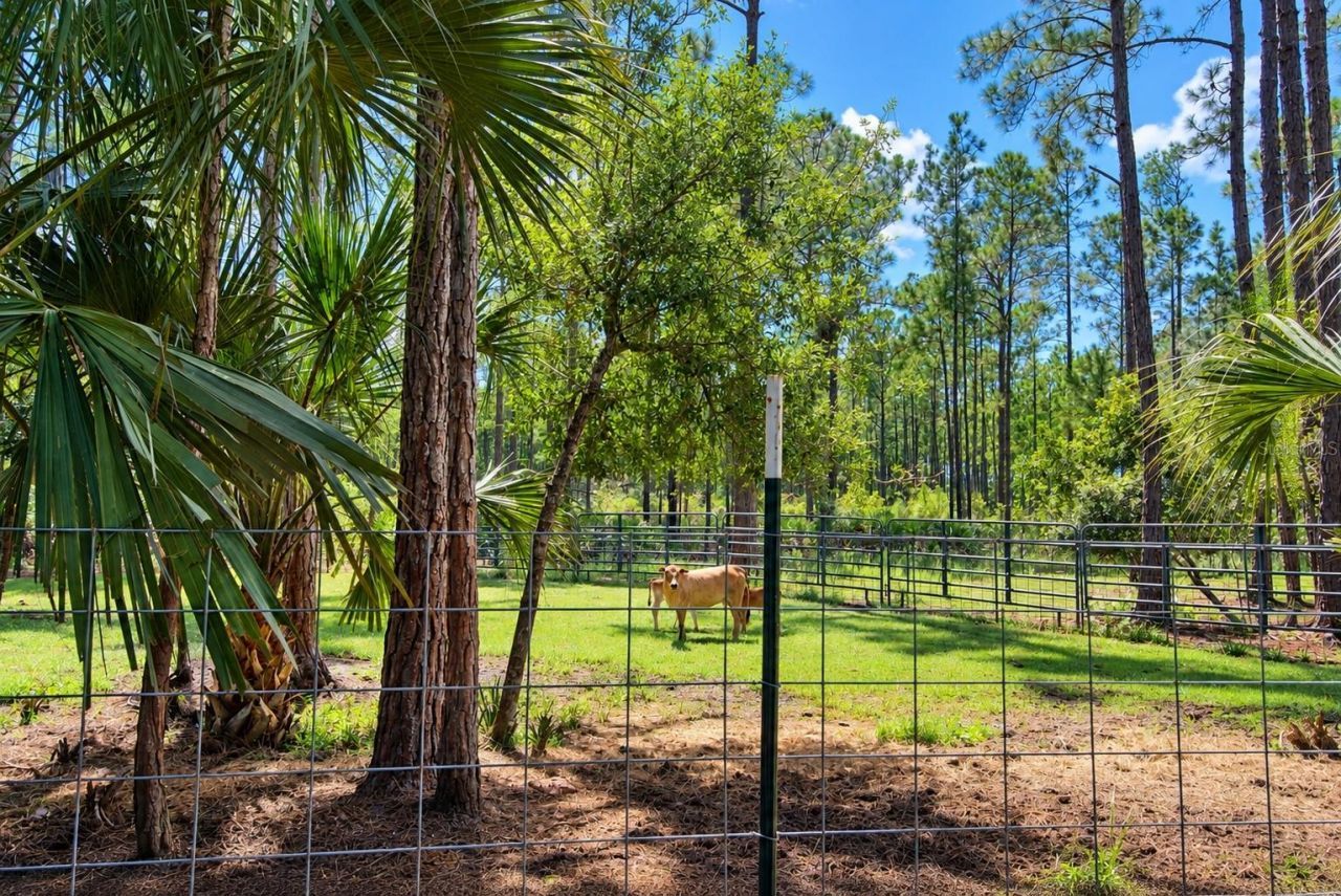 420 Smith Road , Osteen, FL 32764 Photo