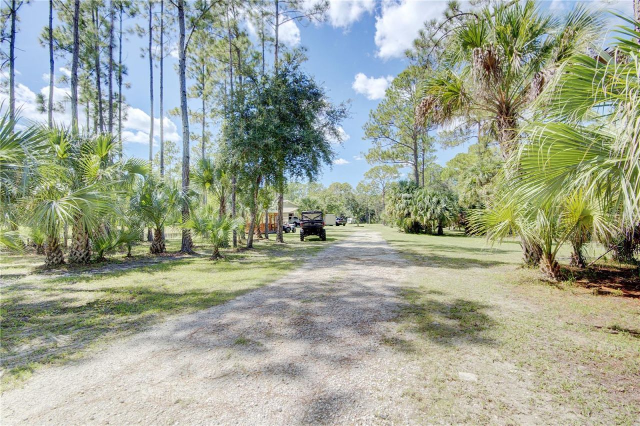 420 Smith Road , Osteen, FL 32764 Photo