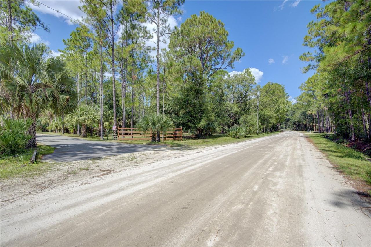 420 Smith Road , Osteen, FL 32764 Photo