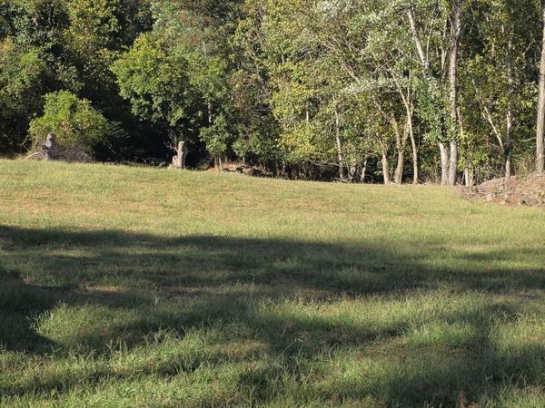 0 Hitt Lane , Unit 1, Goodlettsville, TN 37072