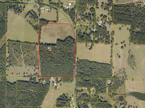 27+/- Ac E County Highway 181, Westville, FL 32464