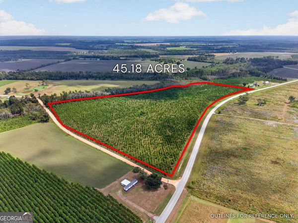 TRACT 2 Highway 203, Blackshear, GA 31516